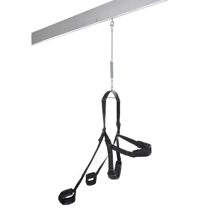 Pipedream Fantasy Swing Black Anal